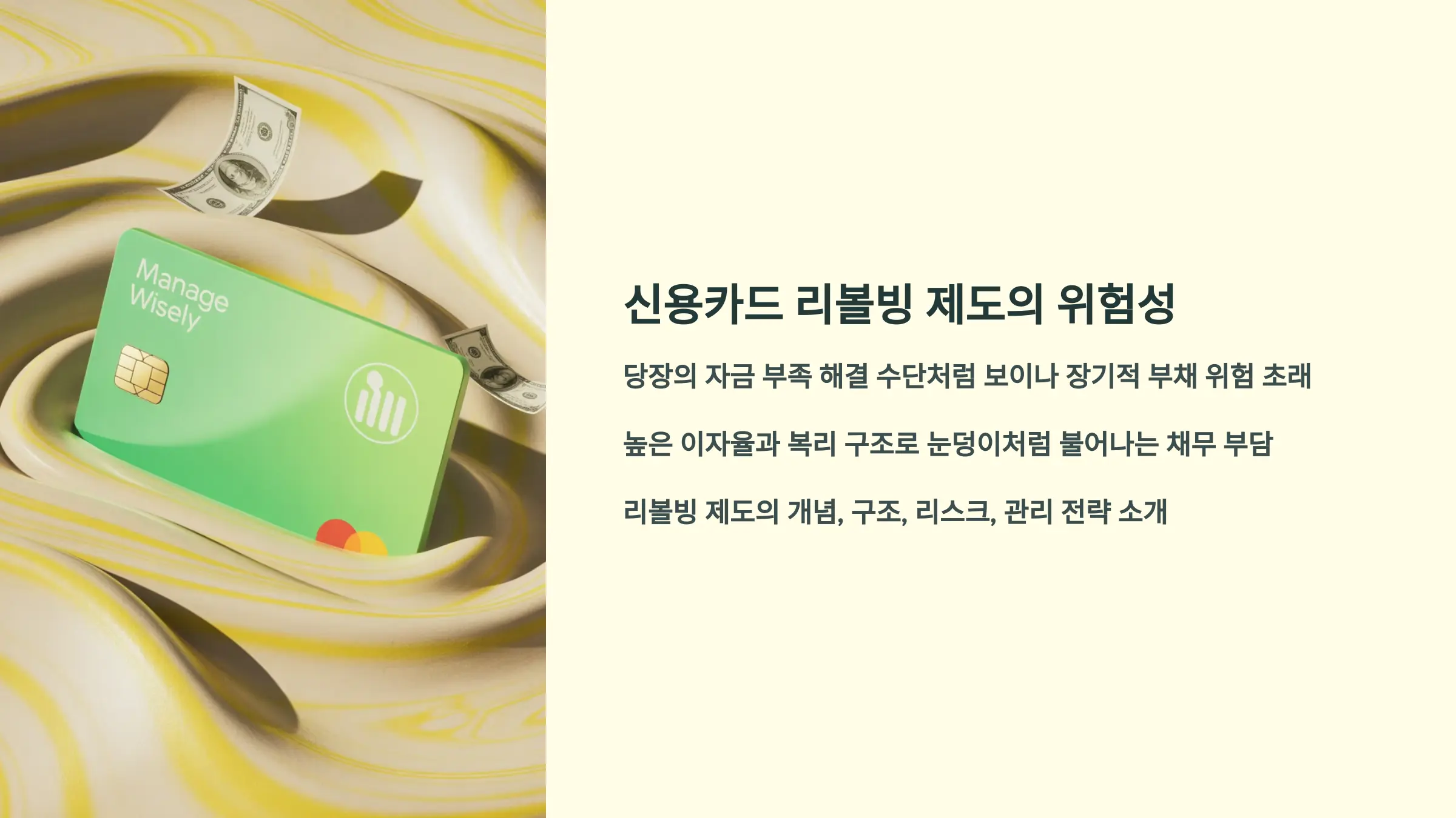 신용카드 리볼빙 제도의 위험성