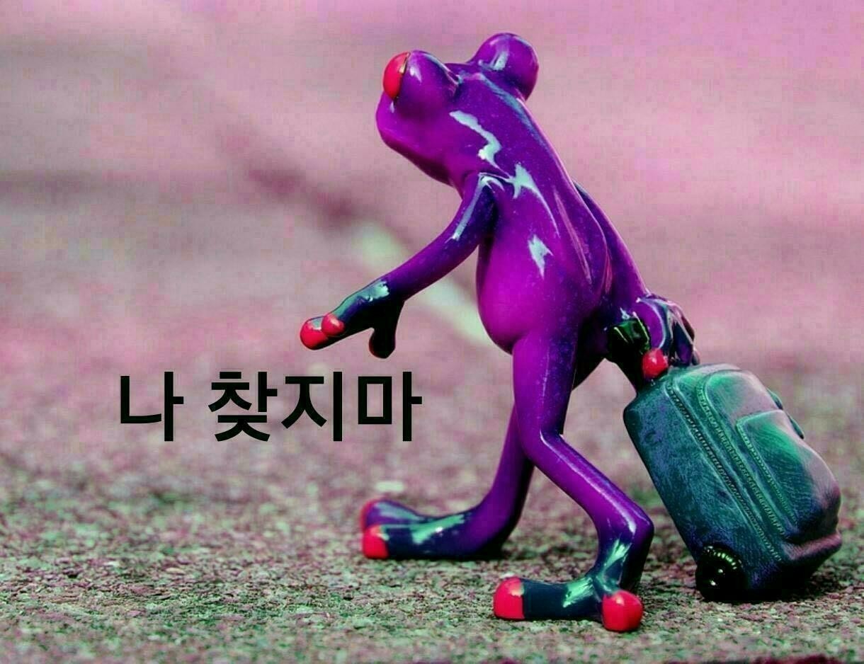  오늘