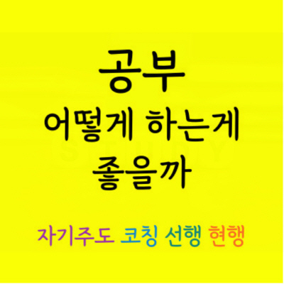  가양동 고등학생 수학과외 자양동 중학생 영어과외 중1중2중3 국어 한국사 고1고2고3 물리 과학과외 시험 수능대비