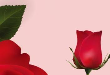오산장미빛축제컨텐츠