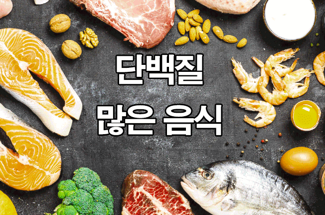  단백질 많은 음식 정리 : 고단백질