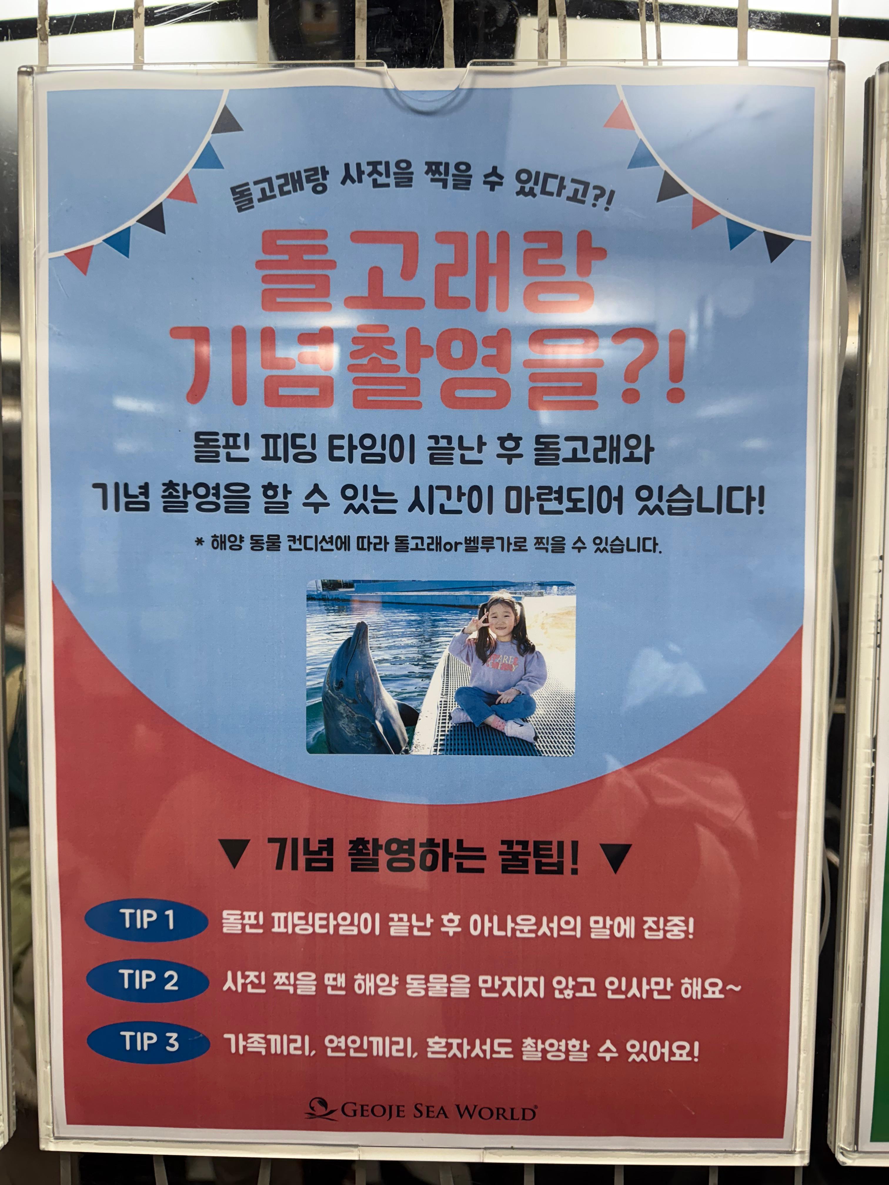 거제씨월드돌고래