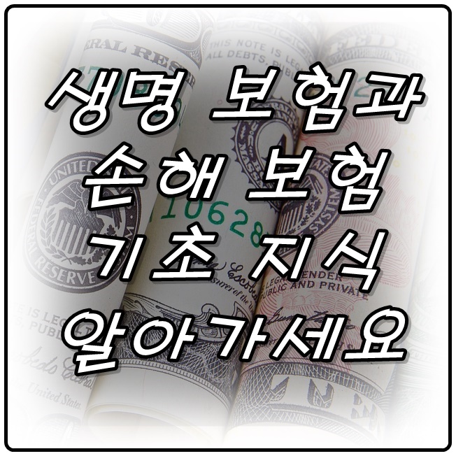  생명보험과 손해보험 기초 지식 알고가기
