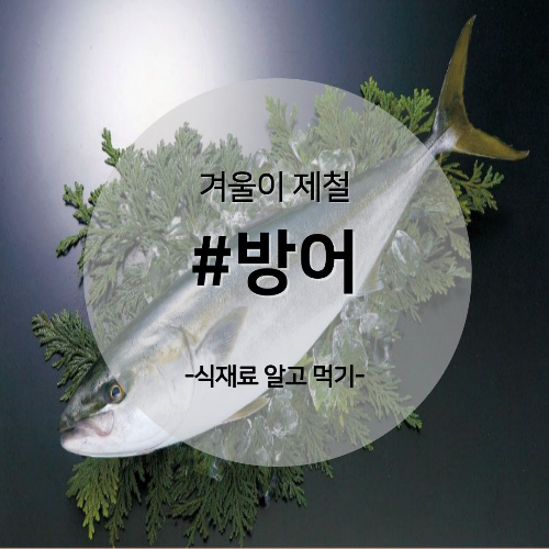  알고 먹기 32. #방어