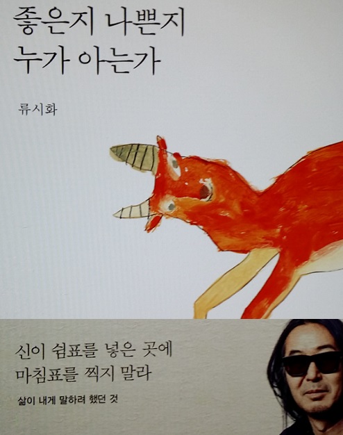  좋은지 나쁜지 누가 아는가(류시화 저)