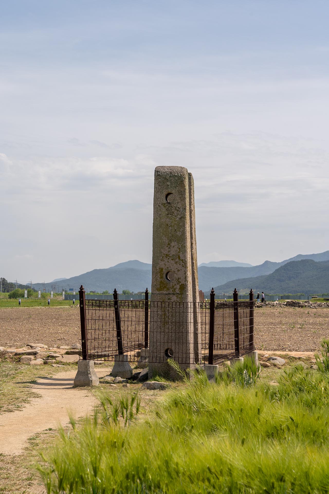 경북 경주 분황사 - 모전석탑 청보리 양귀비 - 청보리와 양귀비 분황사 당간지주