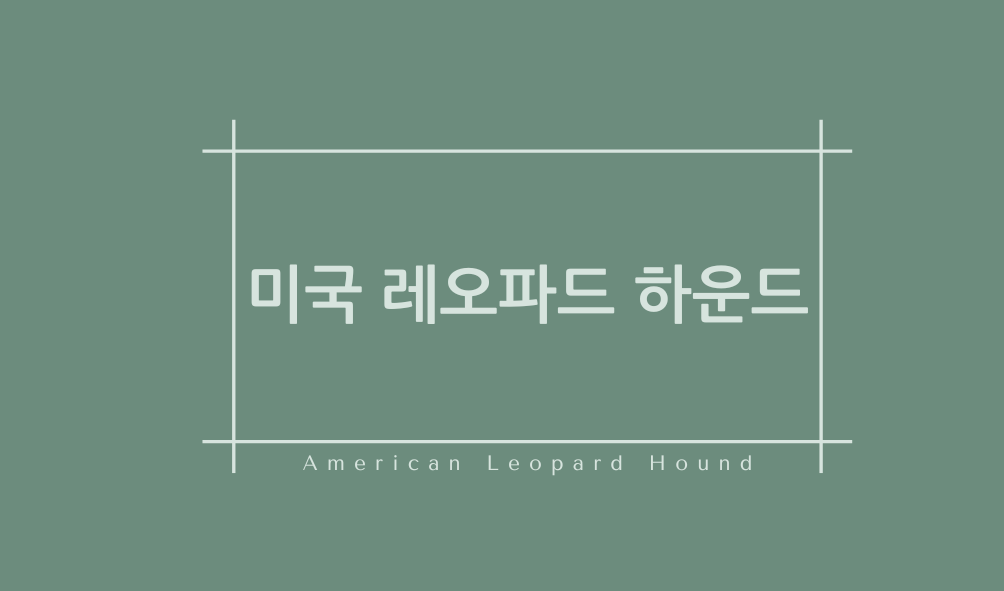 미국 레오파드 하운드(American Leopard Hound)