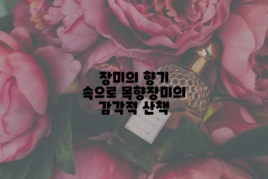 장미의 향기 속으로 목향장미의 감각적 산책