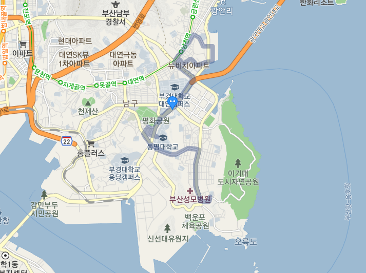  부산광역시 남구 마을버스 8번 : 용호동, 성모병원, 동명대, 남천역
