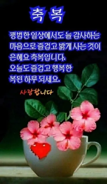 6월 인사말 모음집 이미지 문구 이미지 모음_10