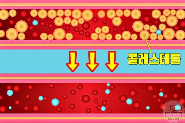 밀가루 끊기 효과 밀가루끊기 한달 콜레스테롤