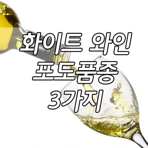 와인 종류&#44; 화이트 와인 포도 품종 3가지 완벽 정리