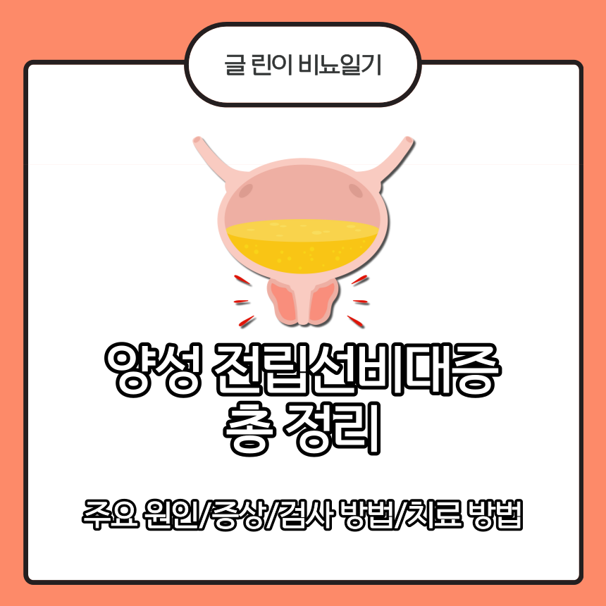  양성 전립선비대증 총 정리