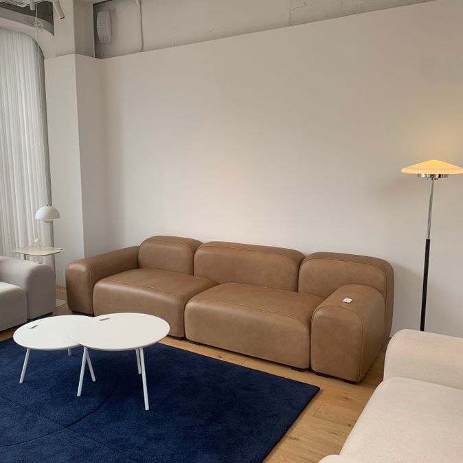 잭슨카멜레온, 플랜트란스 36