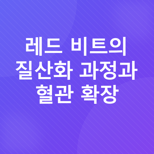 고혈압 관리_4