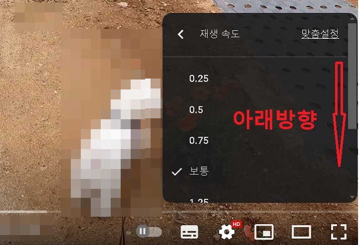 속도 선택창 보임