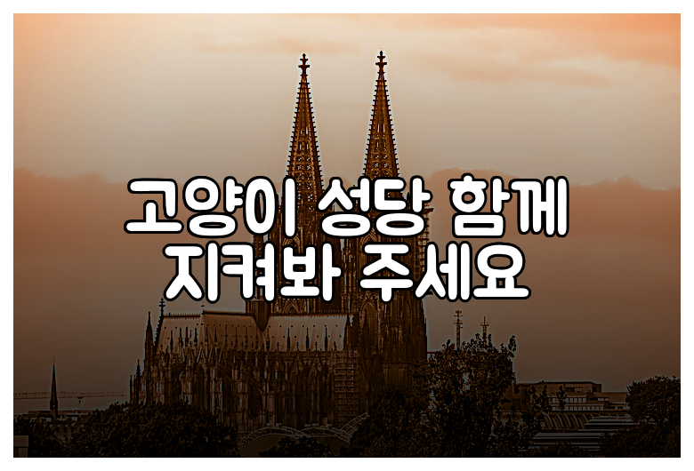 고양이 성당 함께 지켜봐 주세요