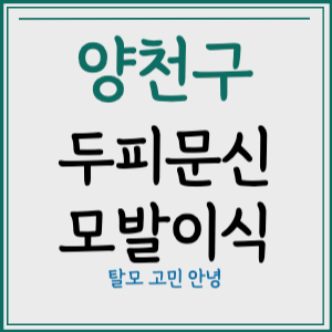 서울 양천구 두피문신 모발이식