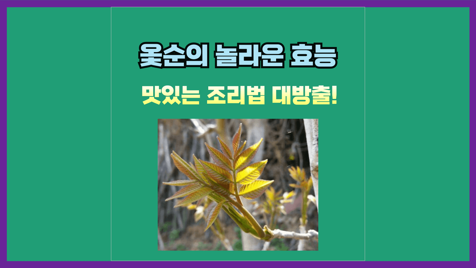 옻순의 놀라운 효능과 맛있는 조리법 대방출!
