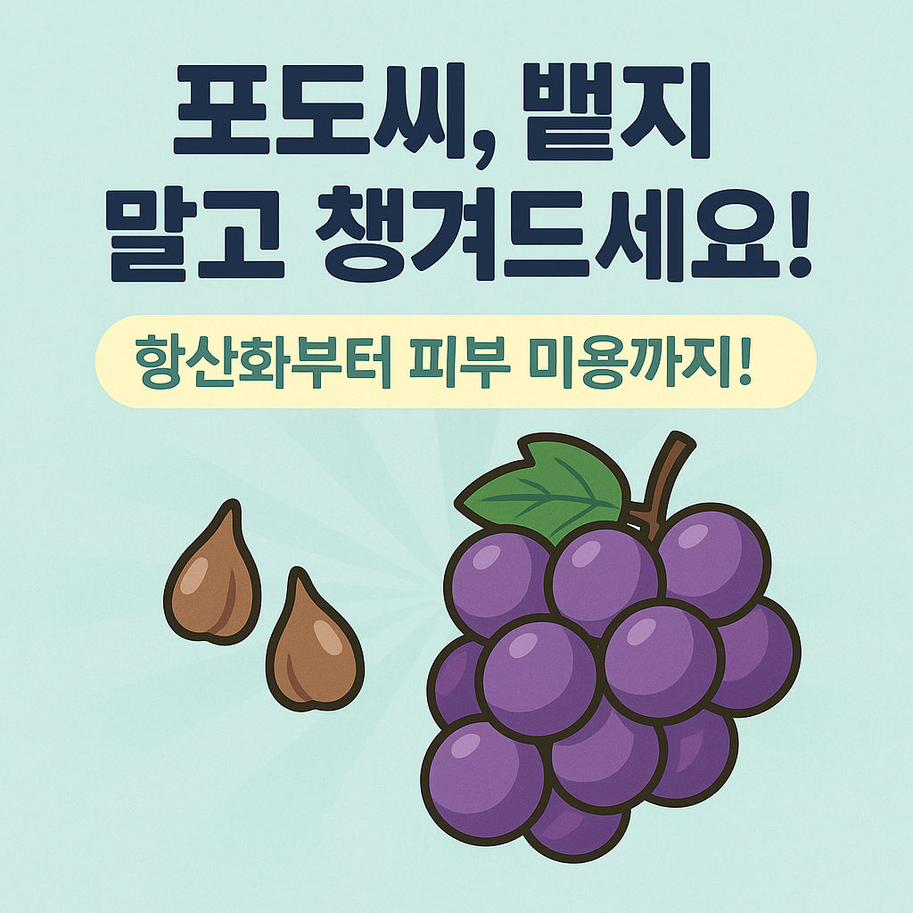 포도씨 먹어도 될까? 항산화부터 피부·혈관 건강까지 효능 총정리