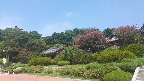 쇼츠수익화극대화를위한실행전략5가지