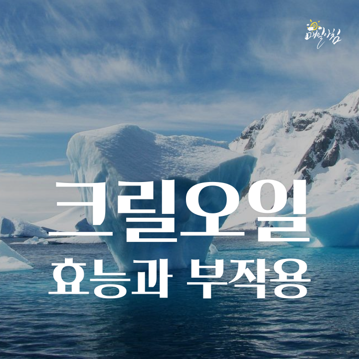  다이어트에 좋은 크릴오일 효능보다 부작용이 더 클까?