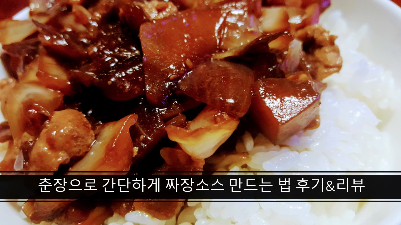  춘장으로 간단하게 짜장소스 만드는 법 후기&리뷰