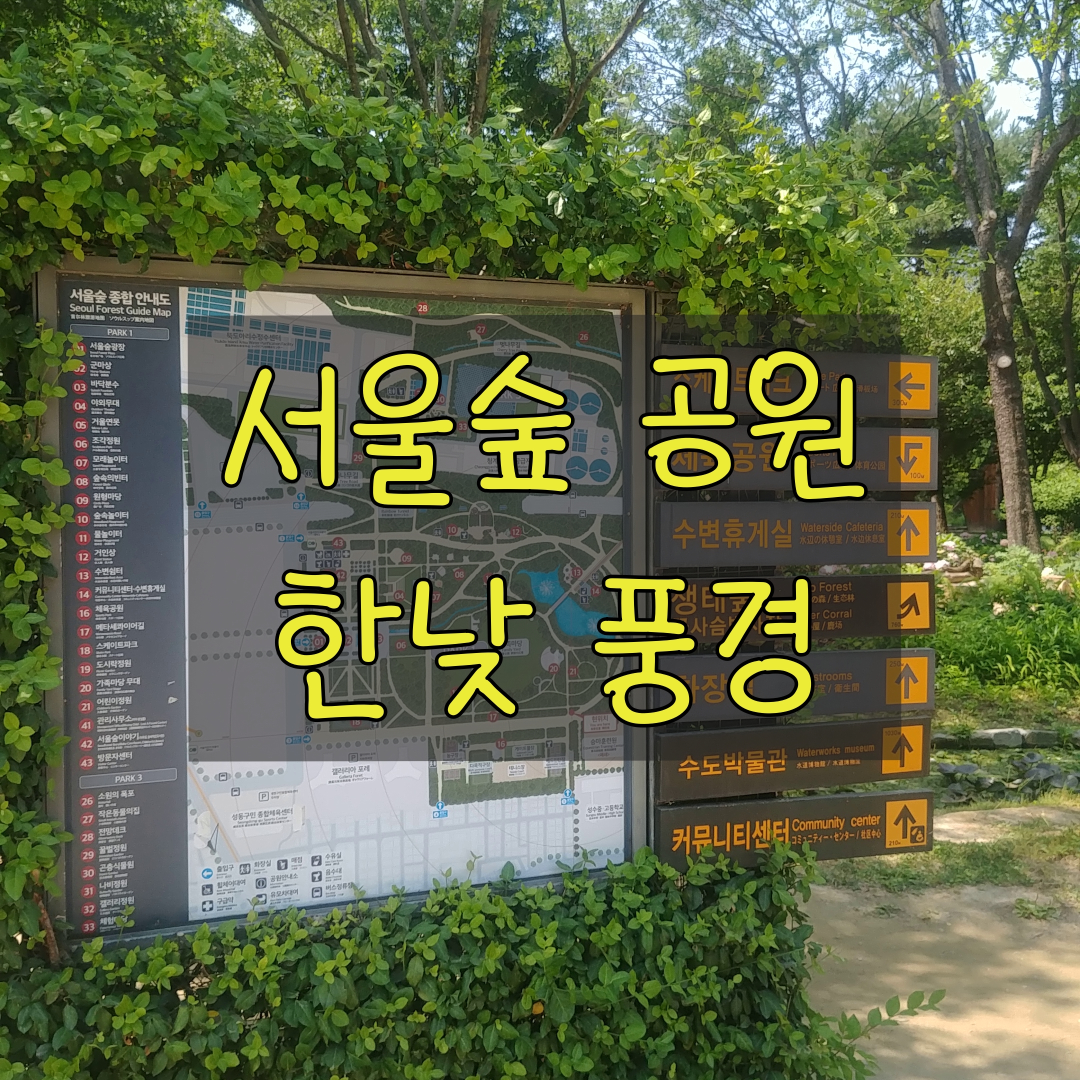 서울숲 공원 정오