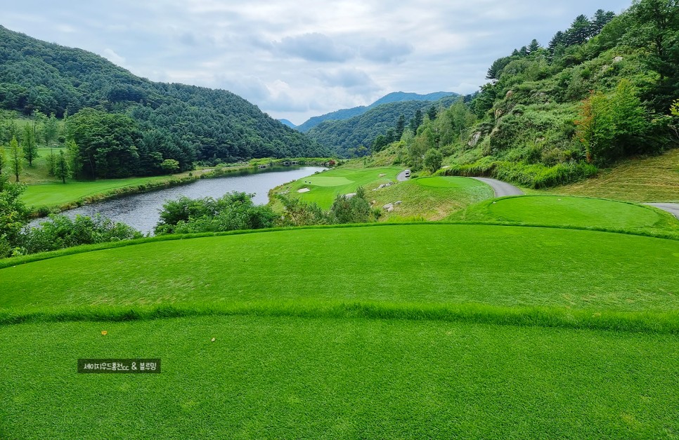 골프에 반하다 세이지우드홍천cc 골프에 반하다촬영지 5