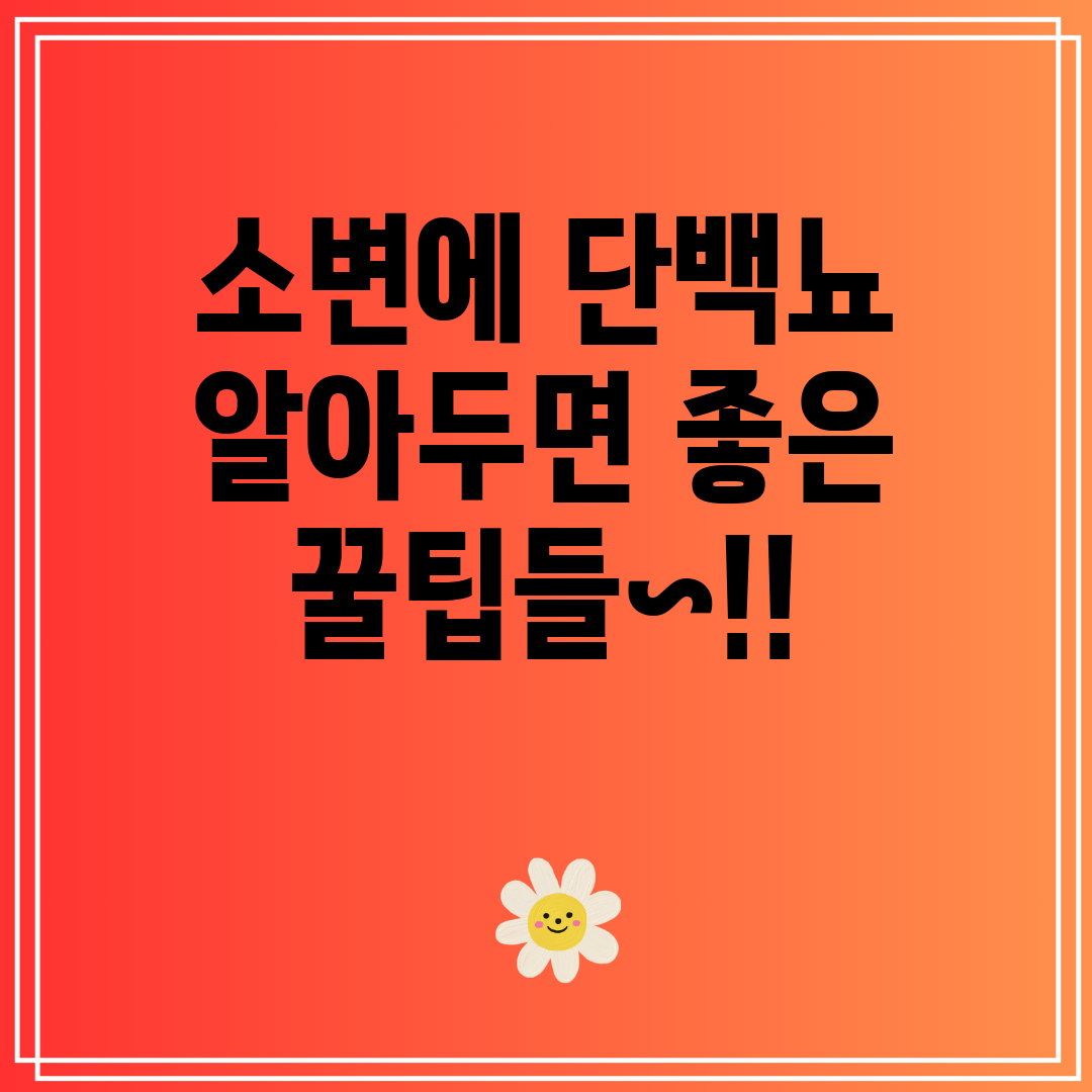 소변에단백뇨알아두면좋은꿀팁들~