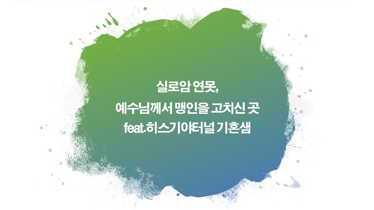 이스라엘성지순례,실로암,실로아연못,보냄을받았다,소경을고치심,맹인기적,히스기야터널,기혼샘,셀라못,성전산,다윗의도시