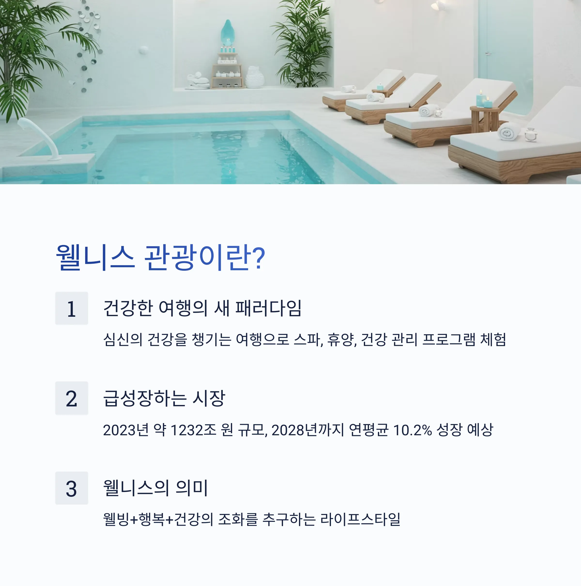 웰니스 관광