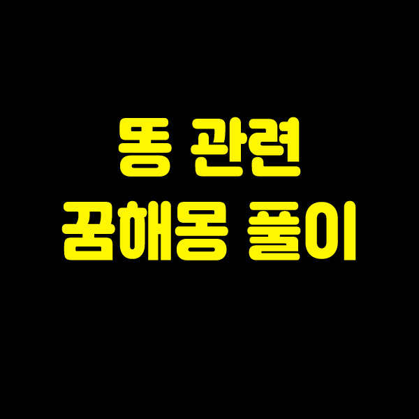  똥 꿈해몽 풀이