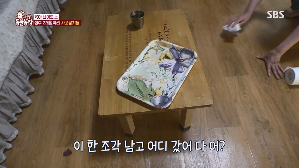 TV 동물농장.E1126.230625p.H264-F1RST.mp4_20230626_204255.473.jpg