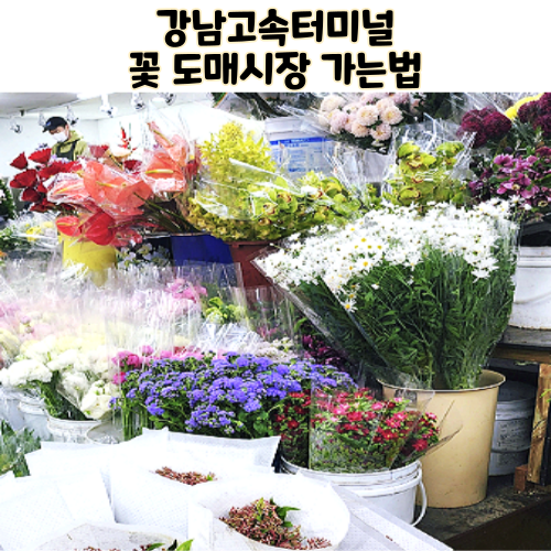  고속터미널 꽃 도매상가 꽃집 찾아가는 법 영업시간