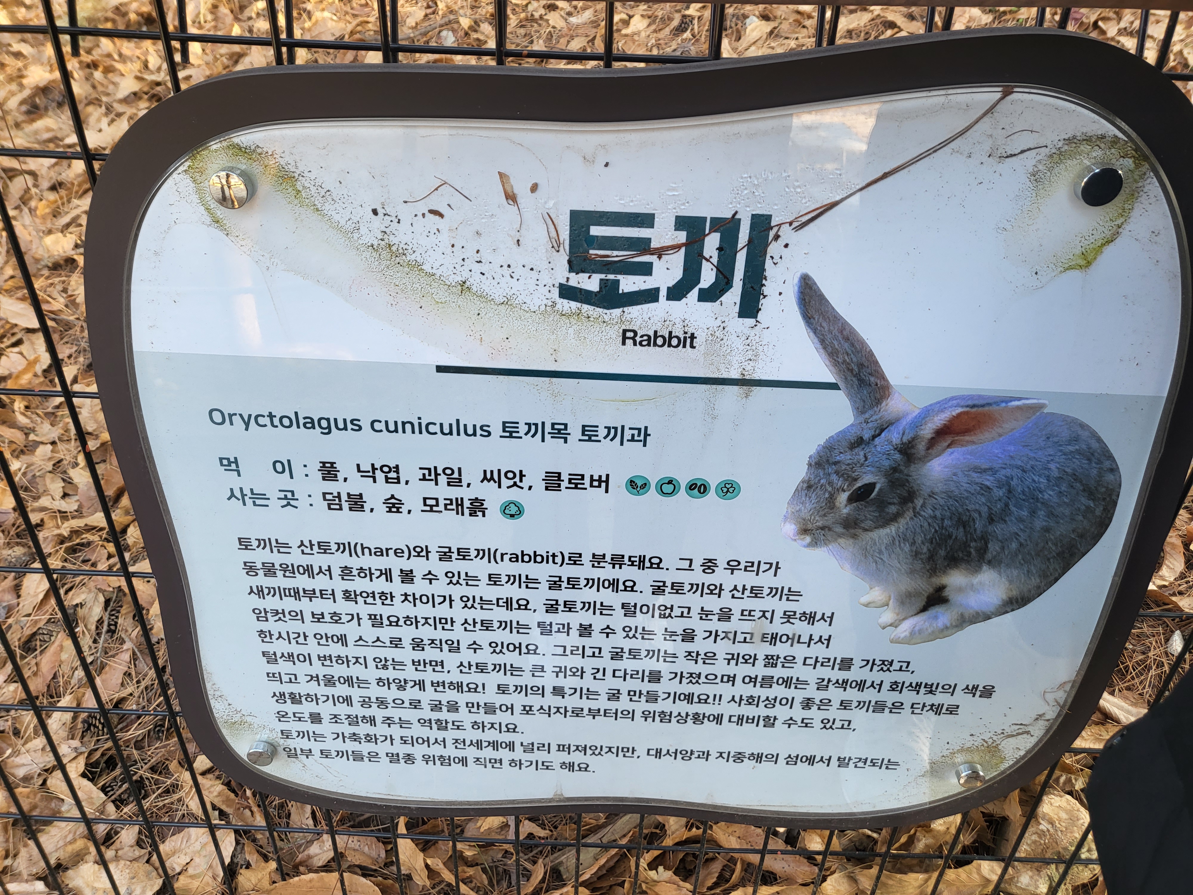청주 동물원 - 토끼 안내판
