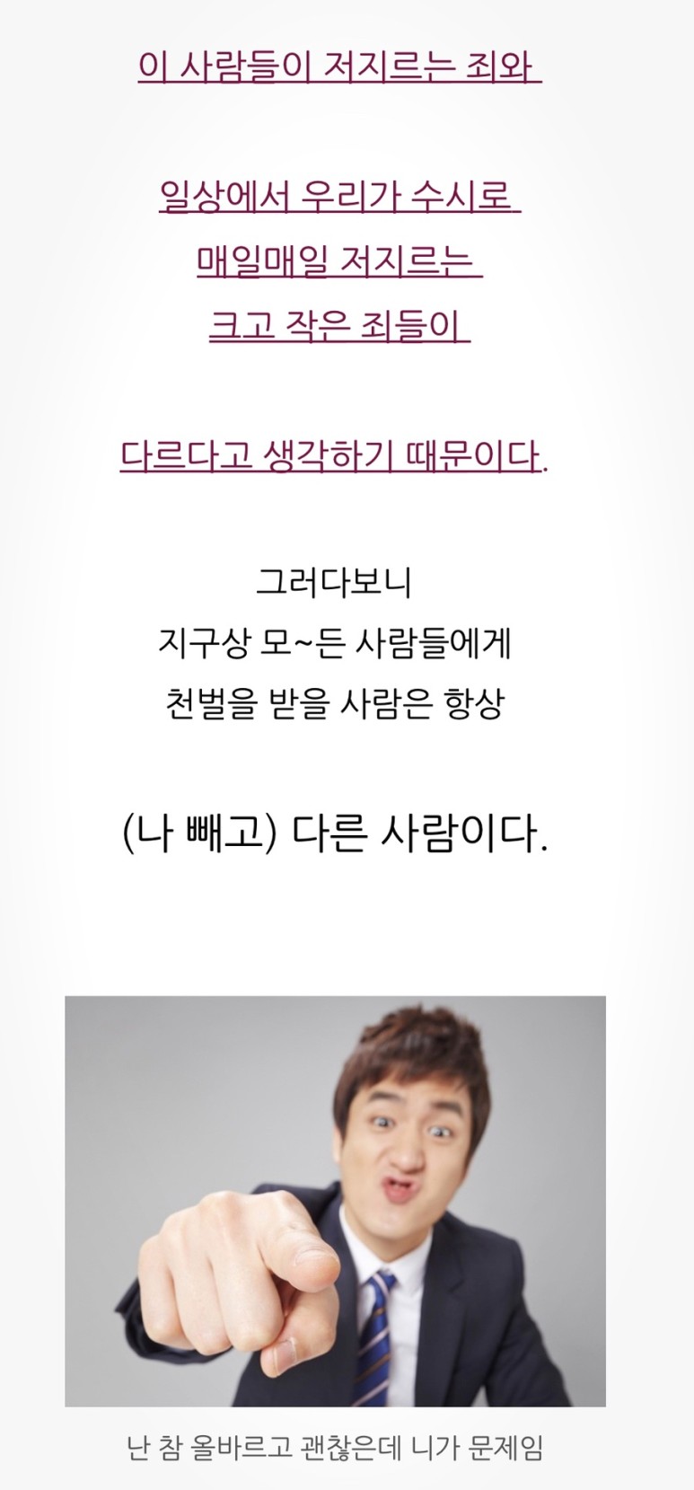 새끼 고양이 목줄 ⭐️ ‘두 눈 파인 유기견’ 이어 대구서 ‘사지 절단된 5