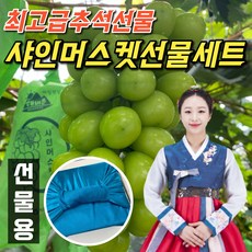  샤인머스켓, 추천상품정보 리스트  & 소비자들이 평가한 정보