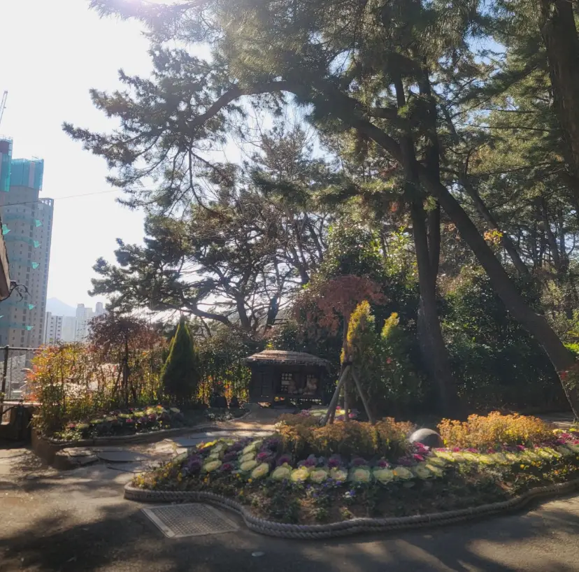 금강공원