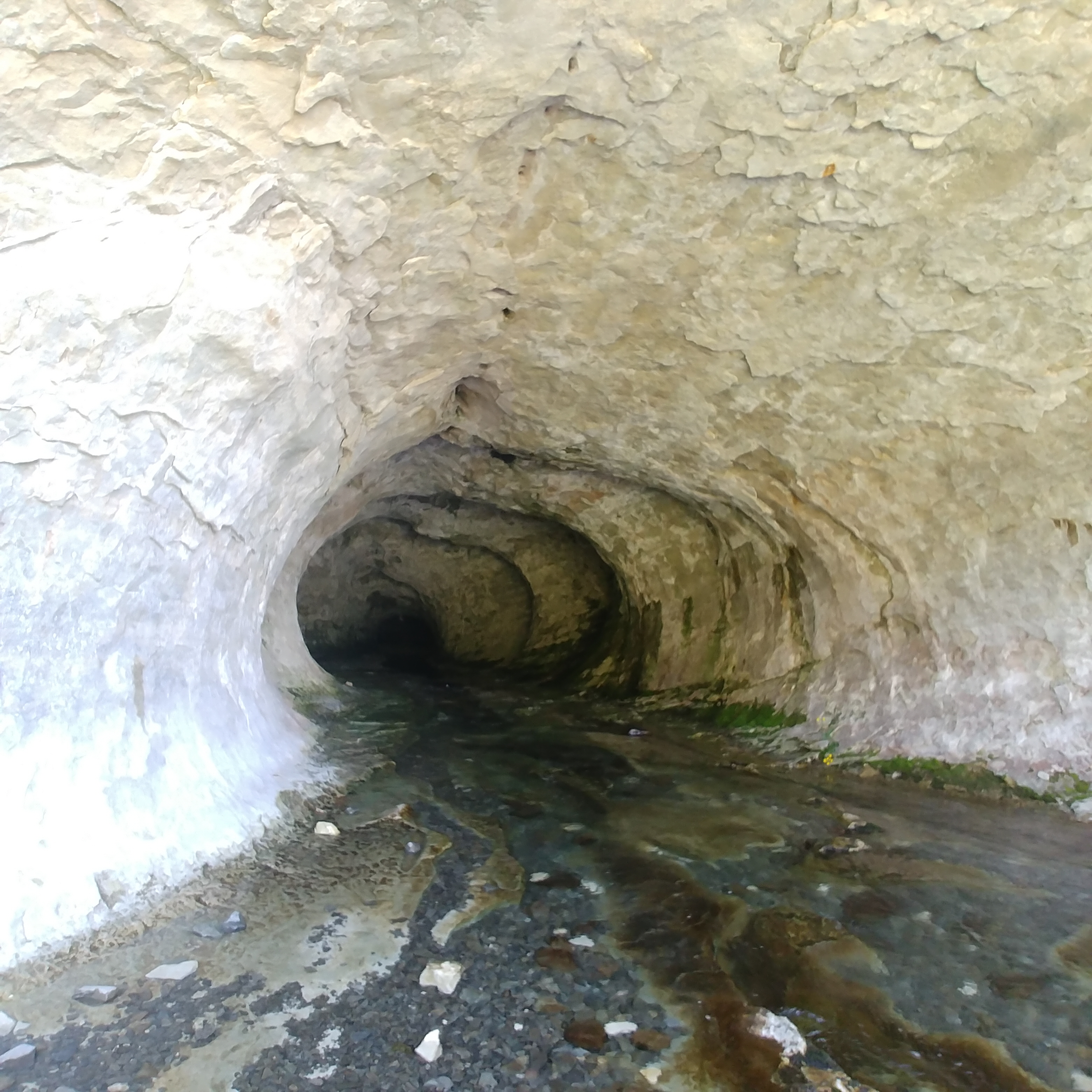 Cave Stream Scenic Reserve