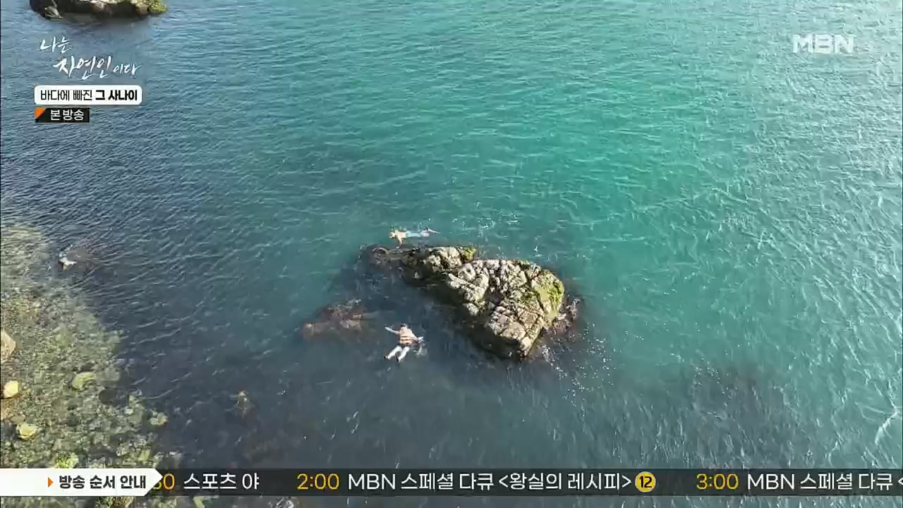 나는 자연인이다.E530.221131p.H264-F1RST.mp4_20221201_212046.233.jpg