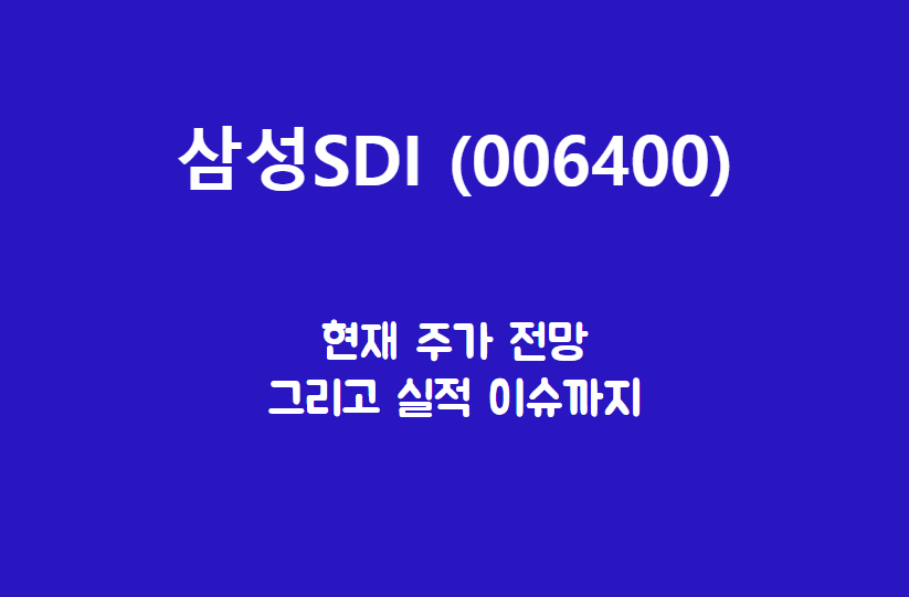  삼성SDI (006400) 주가, 실적, 전망, 기업분석
