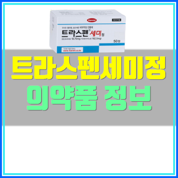  트라스펜 세미정 복용법 효능 부작용