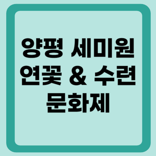 양평 세미원 연꽃 문화제