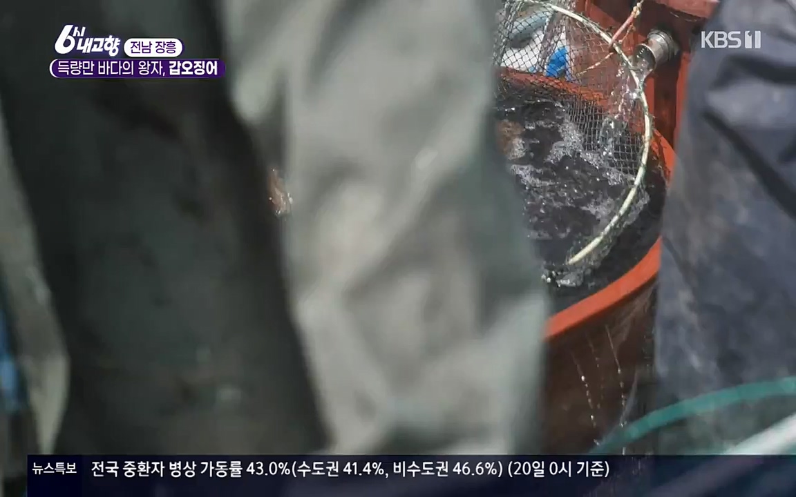 6시 내고향.E7523.220421p-NEXT.mp4_20220507_181111.681.jpg