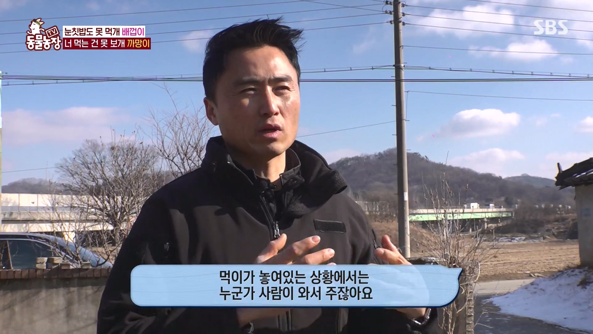 TV 동물농장.E1157.240204p-NEXT.mp4_20240204_172354.068.jpg