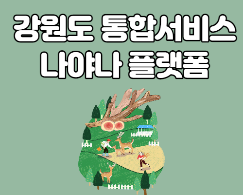  강원도 나야나 설치안내