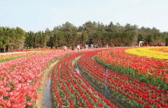 화담숲 예약방법