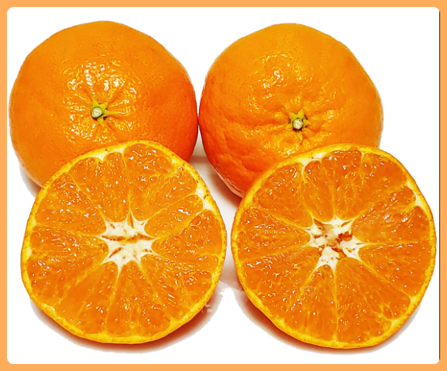  [제주의맛] 제주 달콤한 레드향 산지직송 3kg 5kg 10kg 선물용 가정용 귤 한라봉 천혜향, 가정용포장, 레드향 소과 3kg(17~20과)