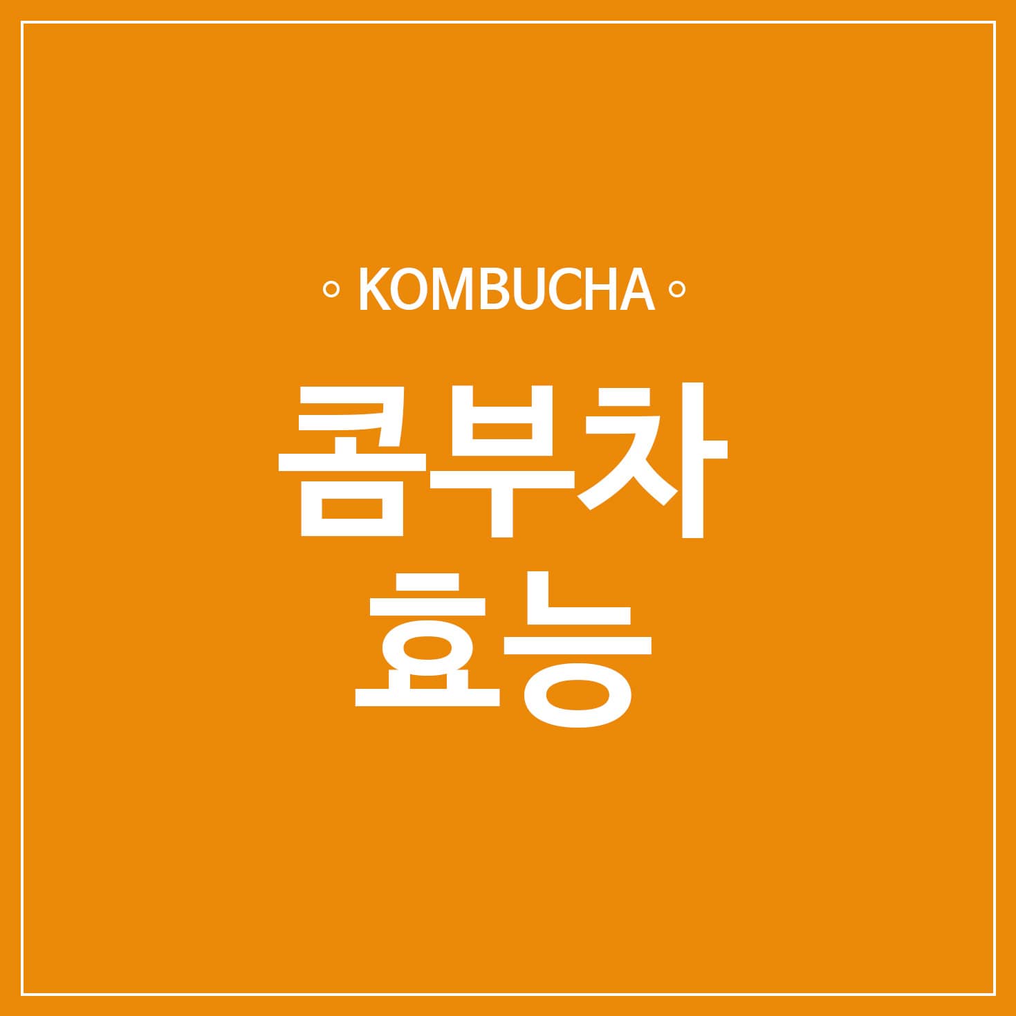 콤부차 썸네일
